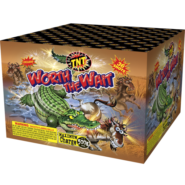 500 Gram Firework Finale Aerials Worth The Wait