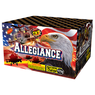 500 Gram Firework Fountains Allegiance®